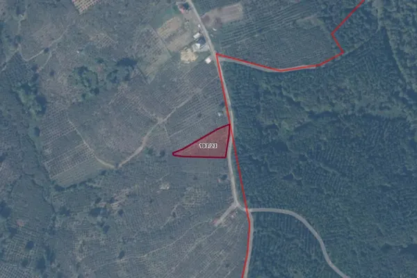 Bakırlı Mahallesi 3.899 m² küçük ölçekli fındık bahçesi