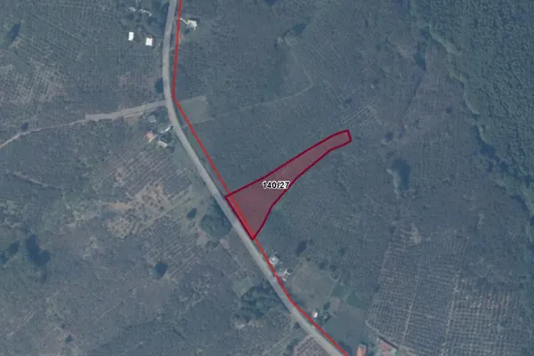Ceylandere Mahallesi ana yola cepheli 6.010 m² fındık bahçesi